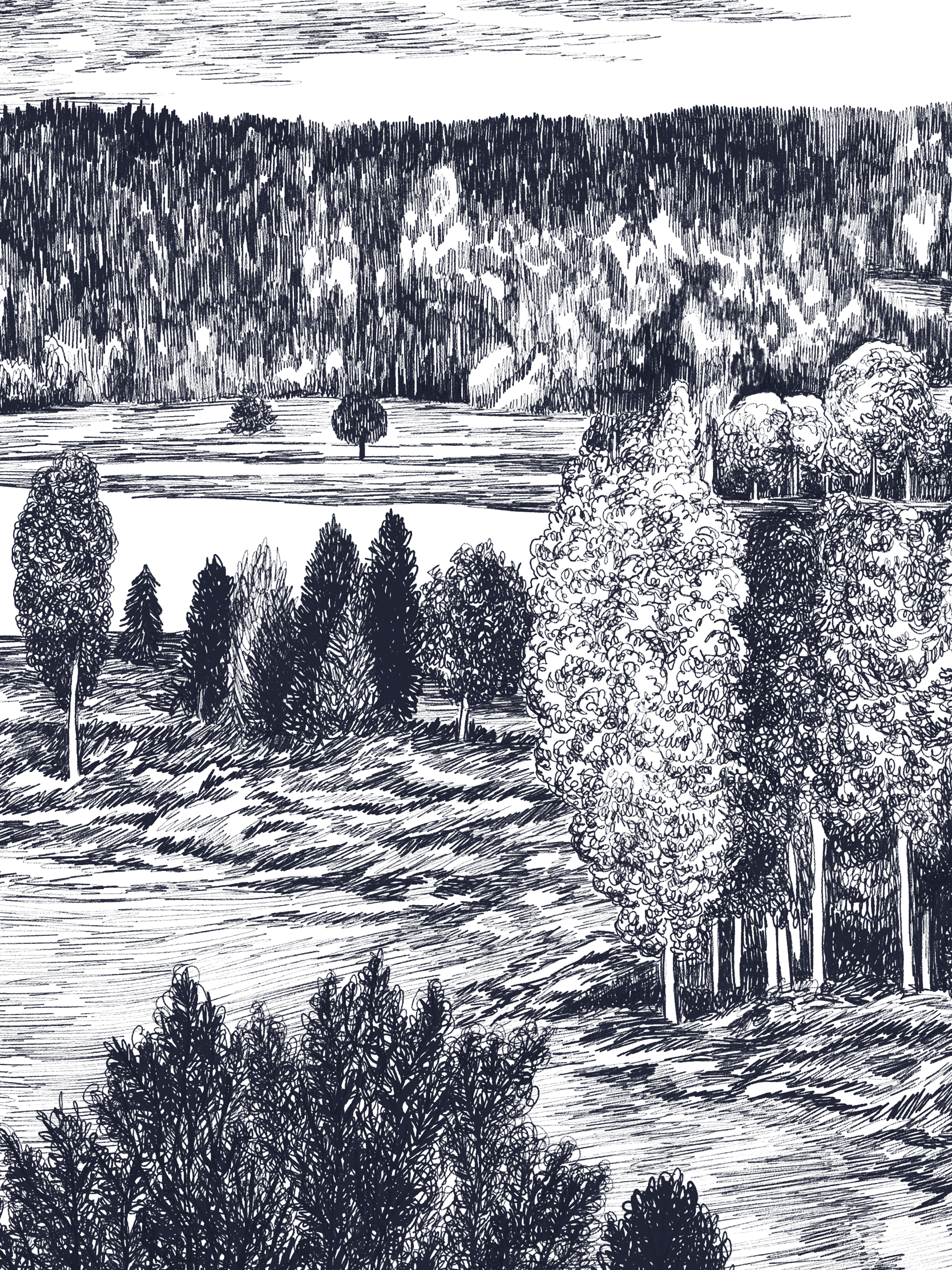 SKELLEFTEÅ jedną linią - obrazek 3