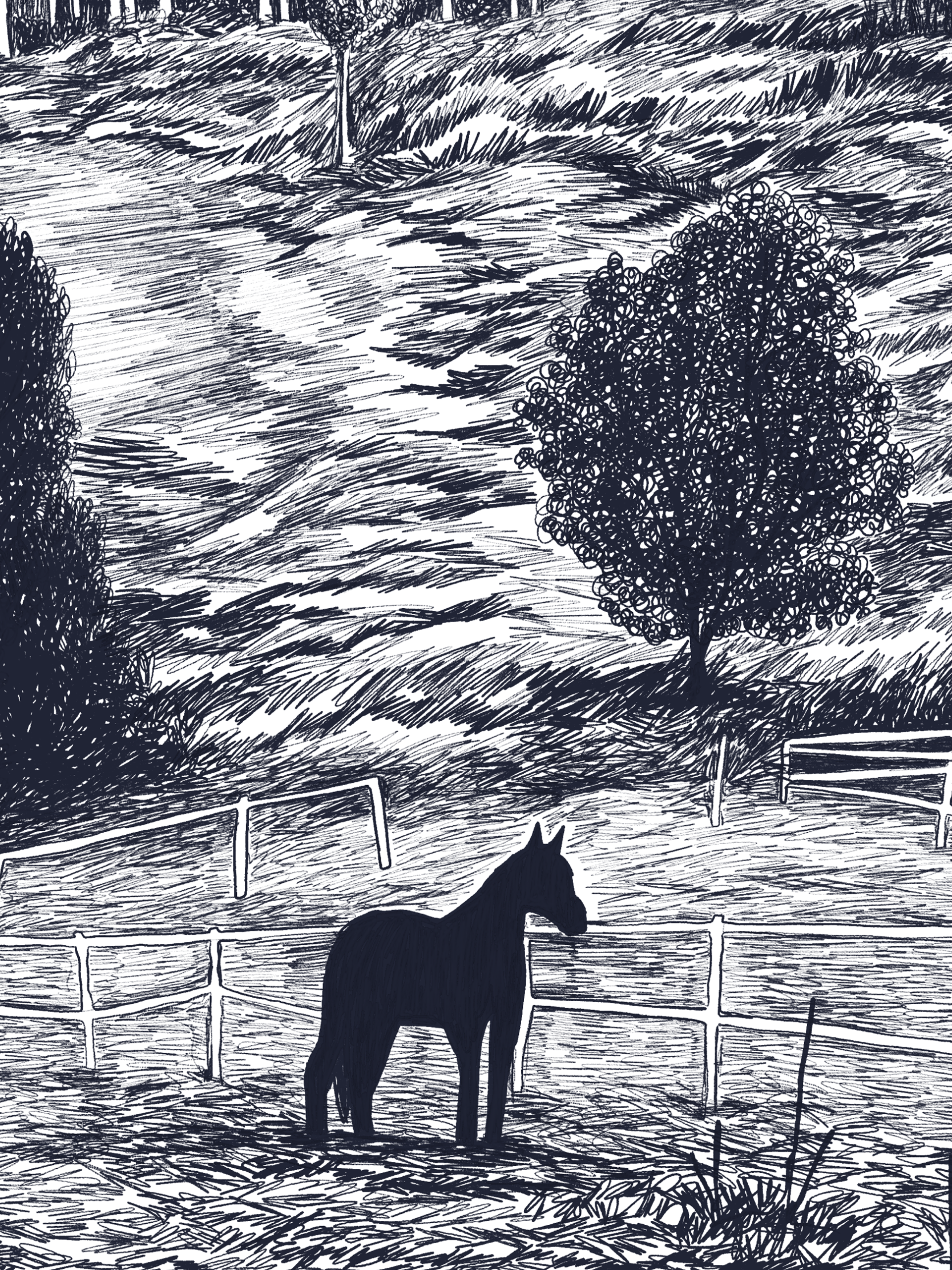 SKELLEFTEÅ jedną linią - obrazek 2