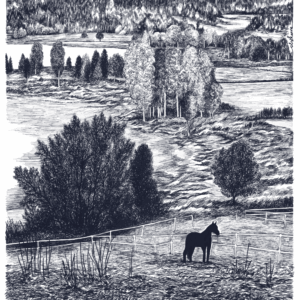 SKELLEFTEÅ jedną linią