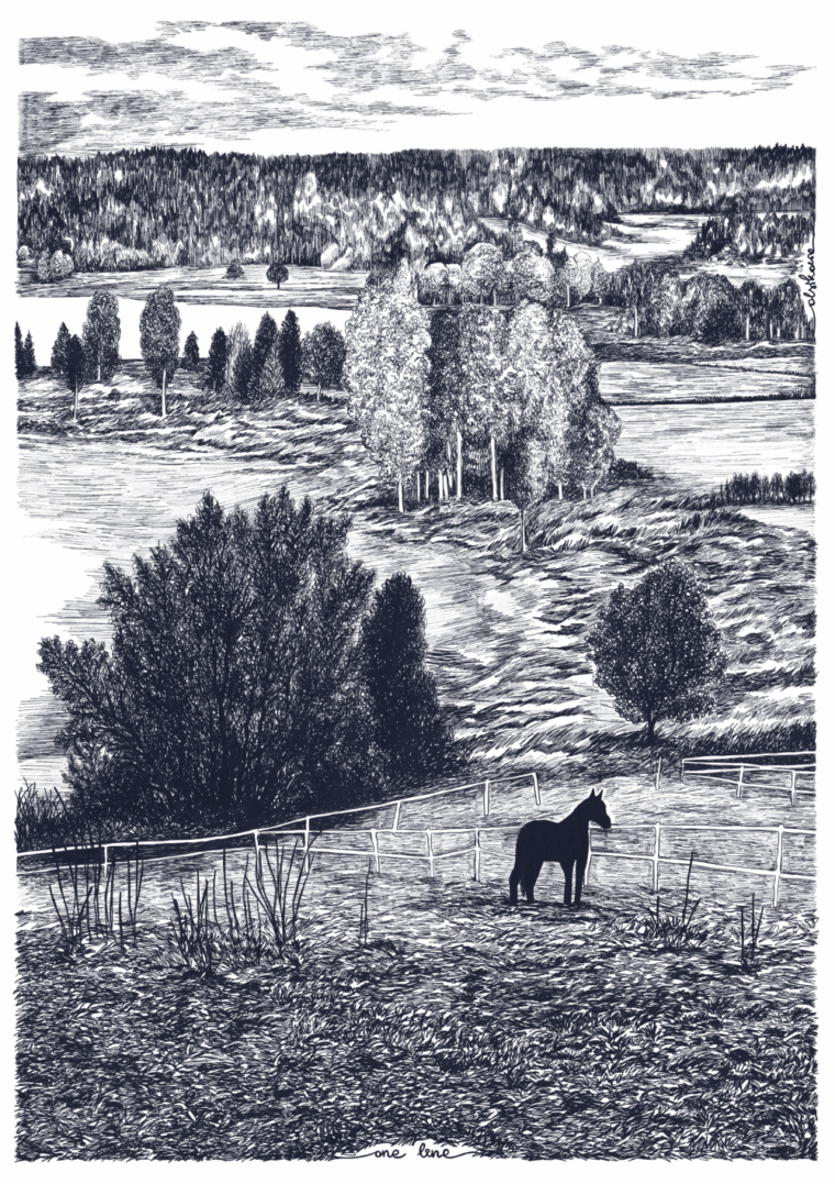 IMG_6581 SKELLEFTEÅ jedną linią