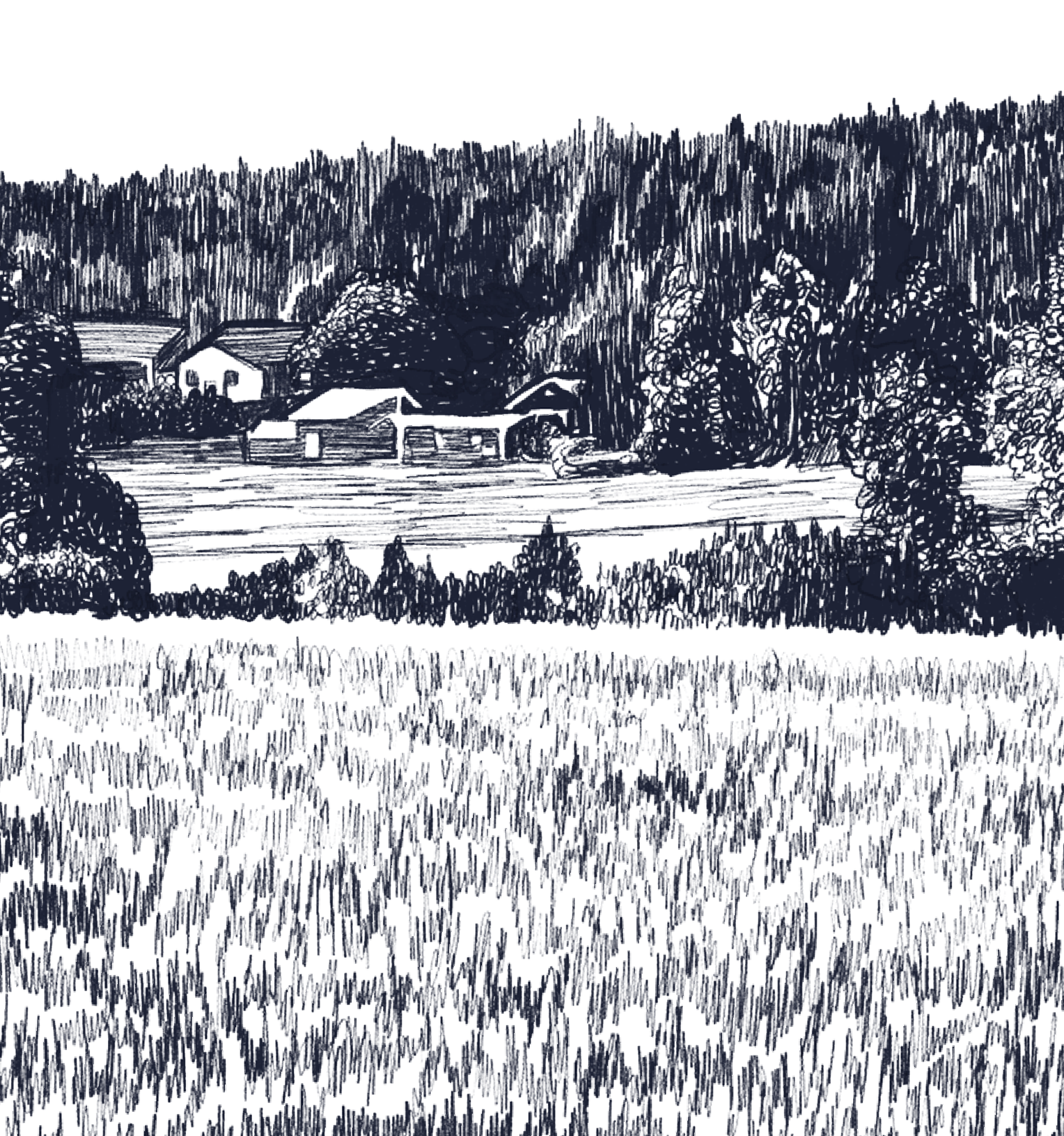 ZŁOTE POLA jedną linią - obrazek 4