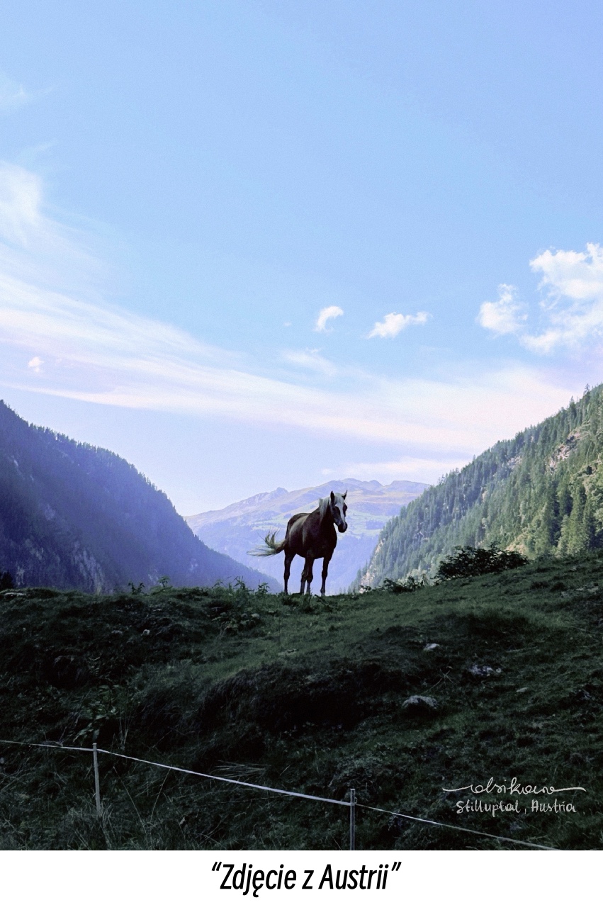 Set of 4 prints of your choosing - Image 5